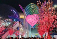 武汉夜生活哪里好？江汉路光谷夜网热门区域推荐