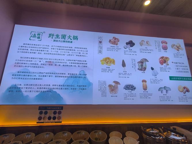 武汉养生餐厅_武汉哪里的养生好玩_武汉养生推荐